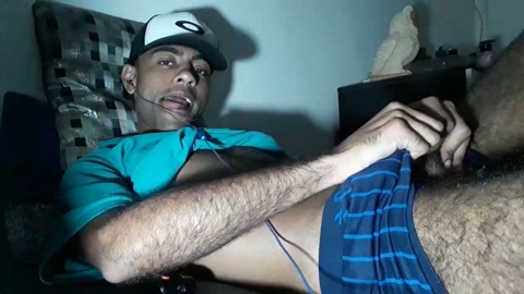 rafaellopes2  17-05-2022